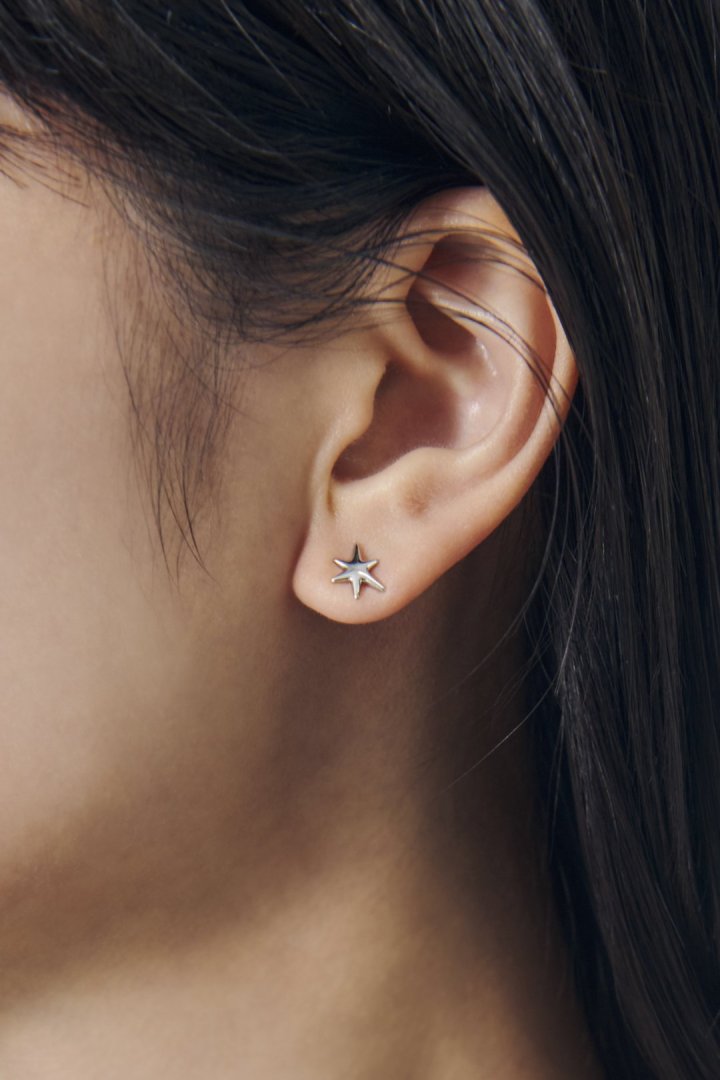 プチ スター ピアス