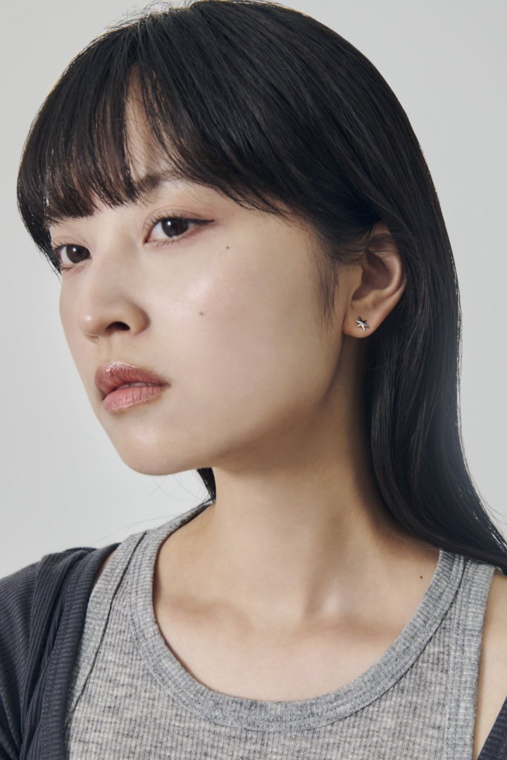 プチ スター ピアス