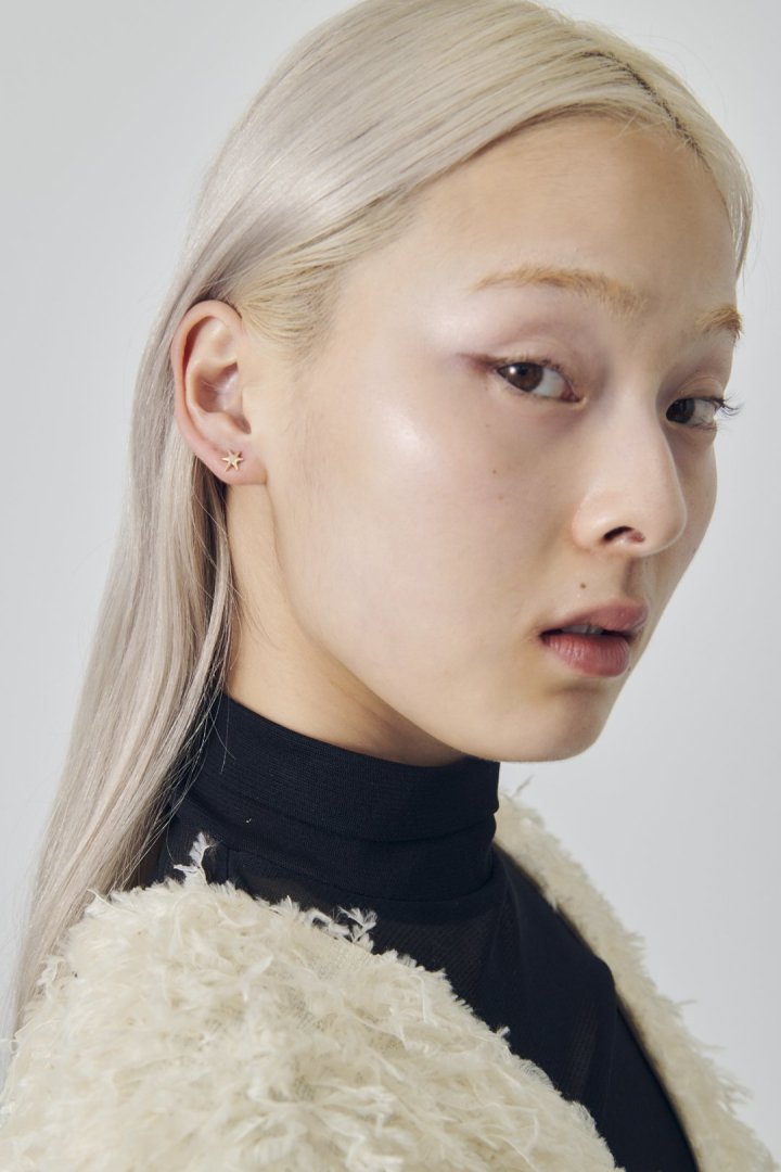 プチ スター ピアス