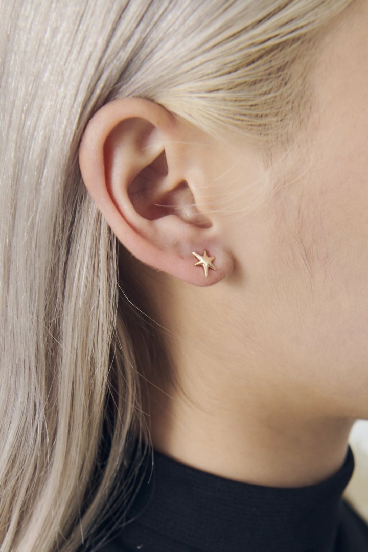 プチ スター ピアス