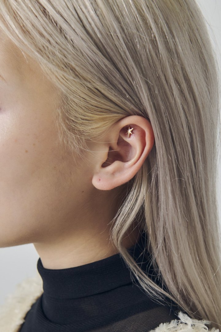 プチ スター ピアス