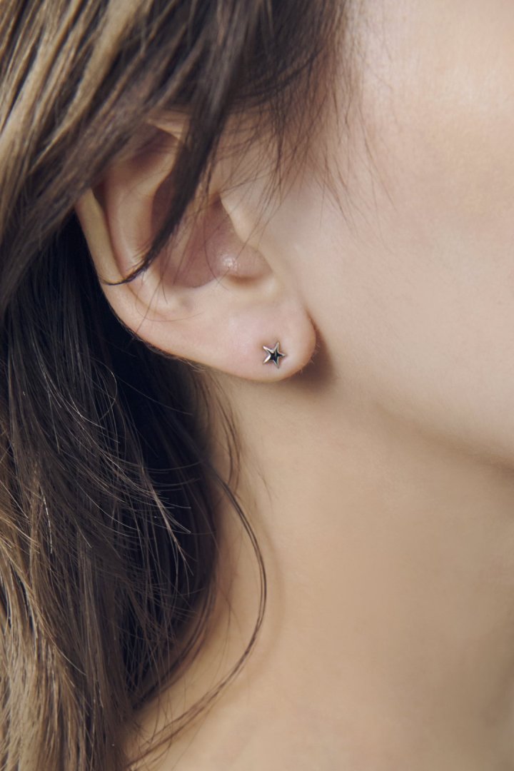 プチ スター ステンレス ピアス