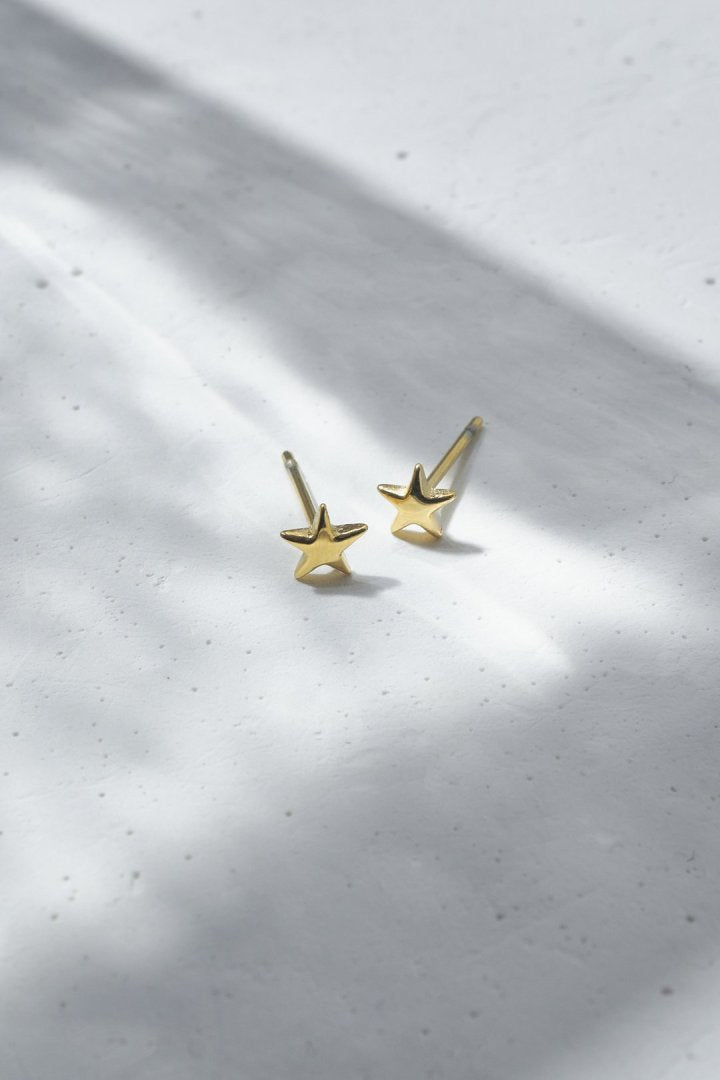 プチ スター ステンレス ピアス