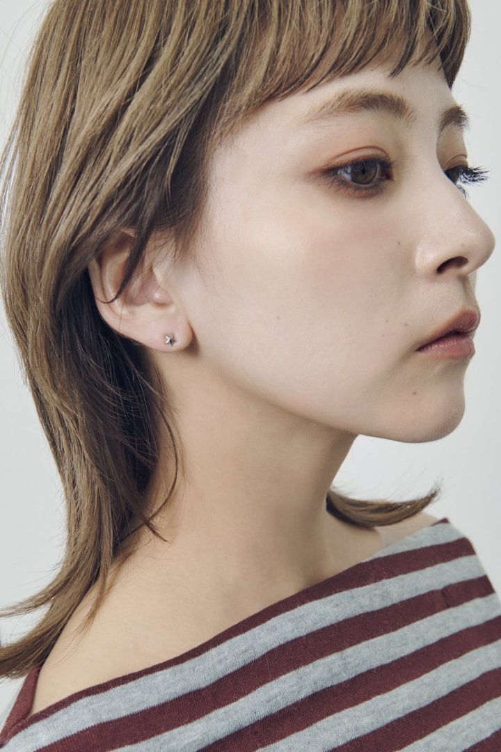 プチ スター ステンレス ピアス