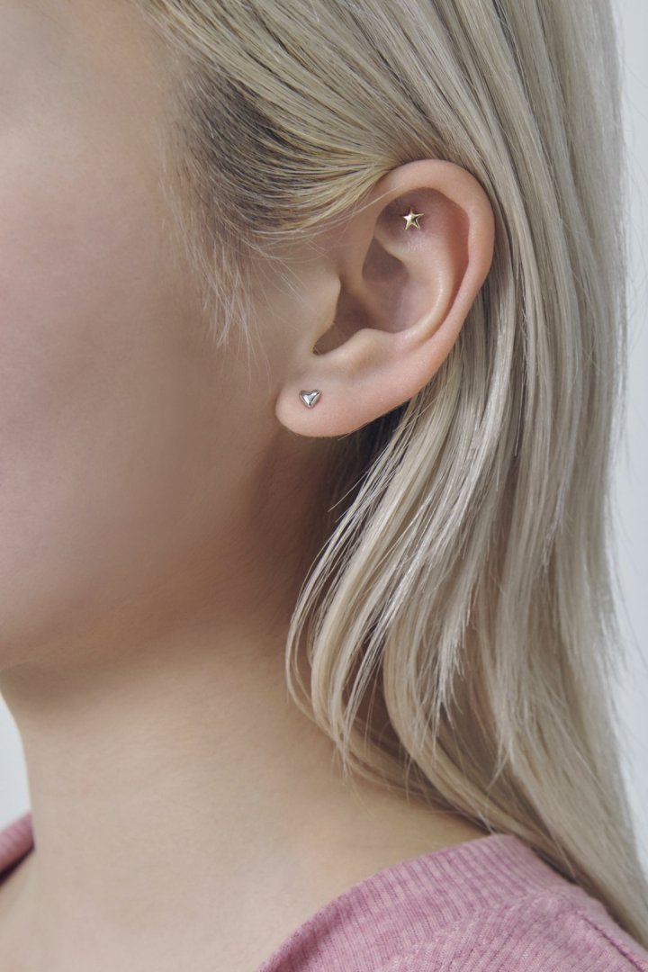 プチ スター ステンレス ピアス