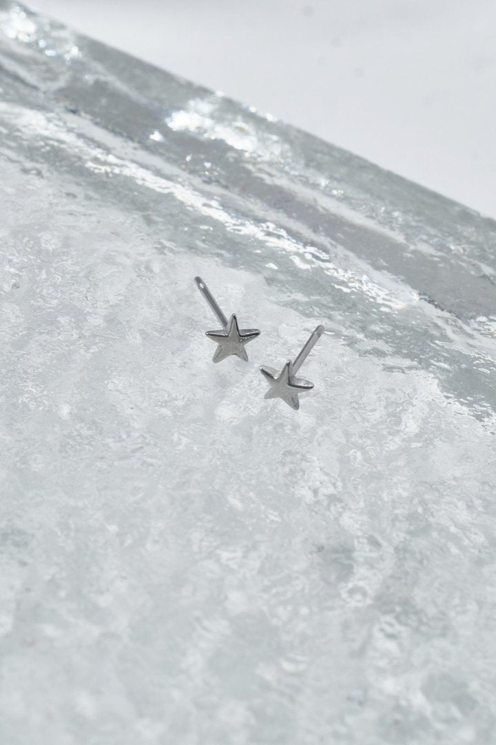 プチ スター ステンレス ピアス