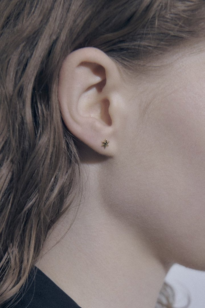 プチ アスタリスク ステンレス ピアス