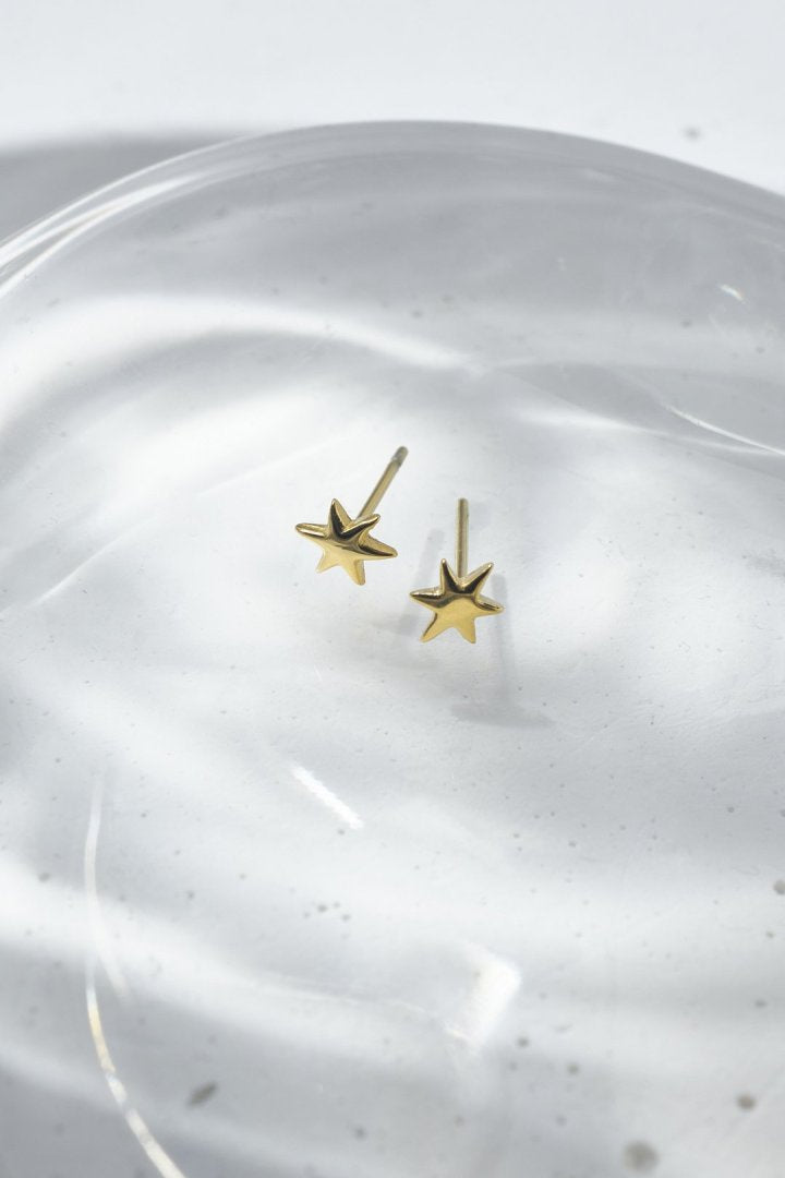 プチ アスタリスク ステンレス ピアス
