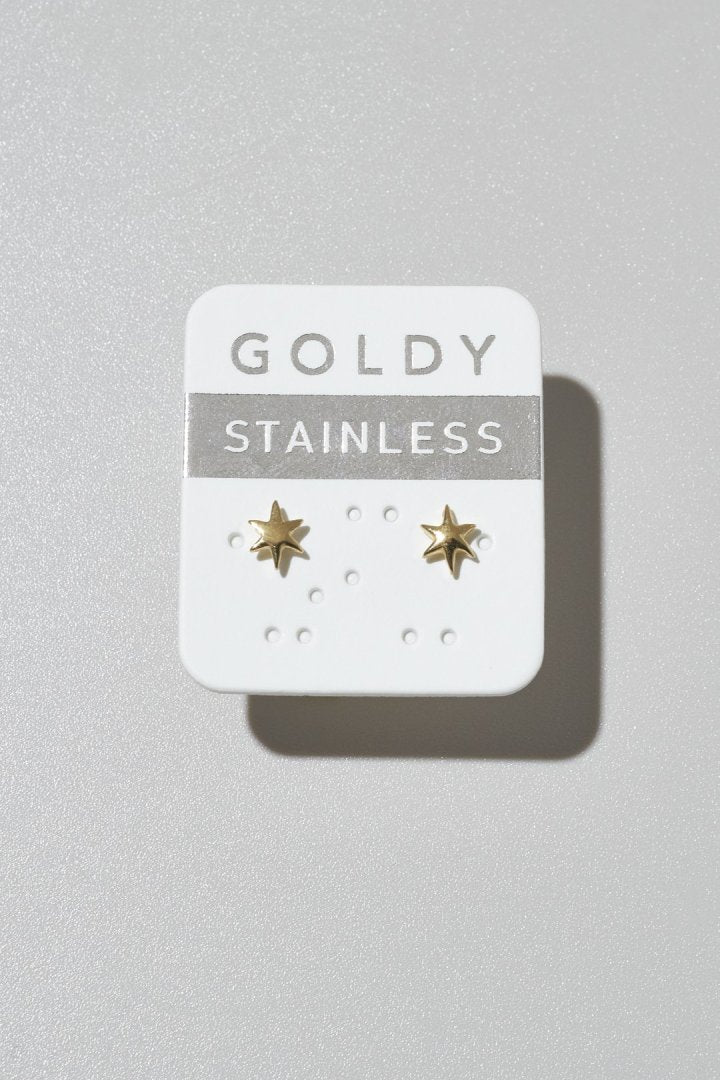 プチ アスタリスク ステンレス ピアス