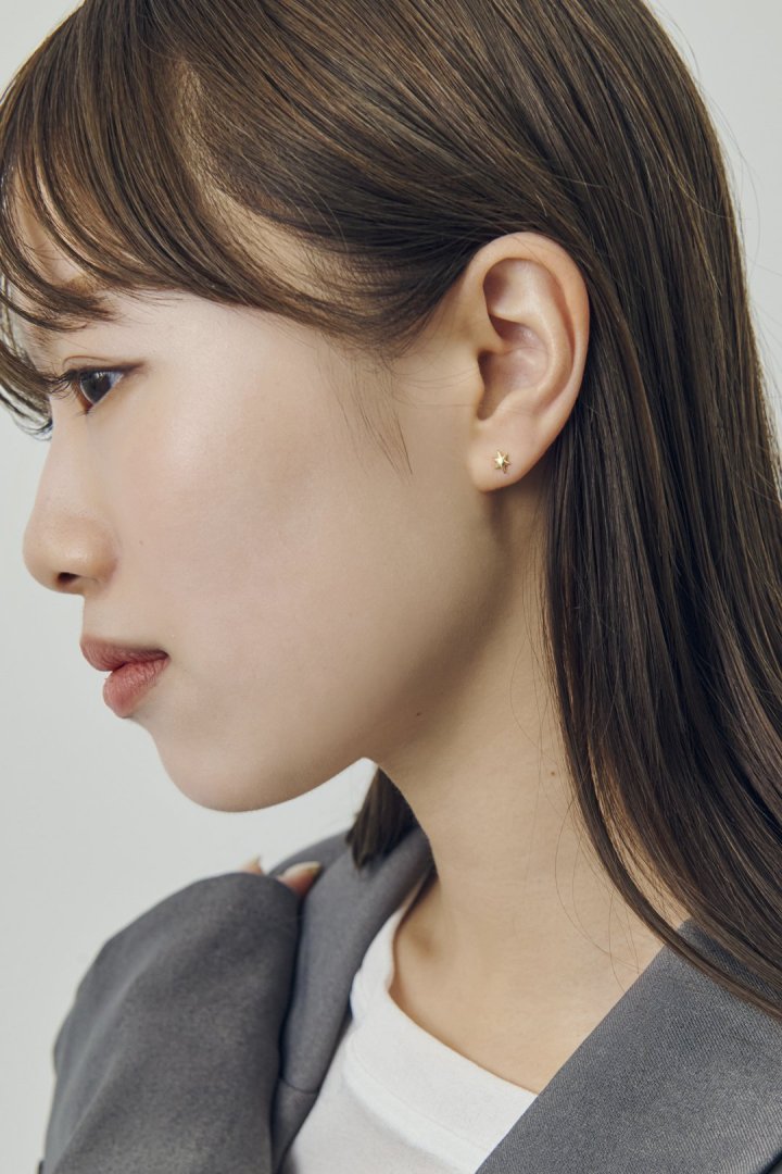 プチ アスタリスク ステンレス ピアス
