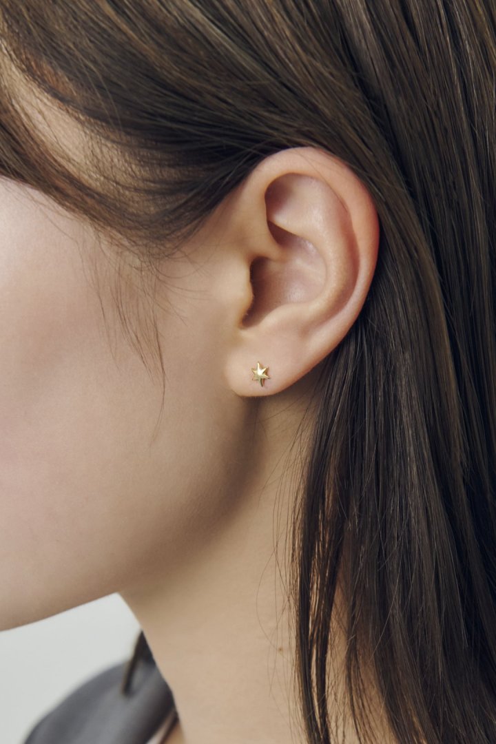プチ アスタリスク ステンレス ピアス – GOLDY Onlinestore
