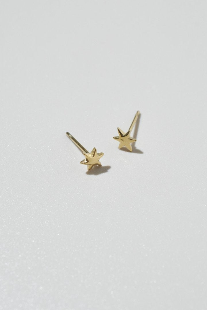 プチ アスタリスク ステンレス ピアス