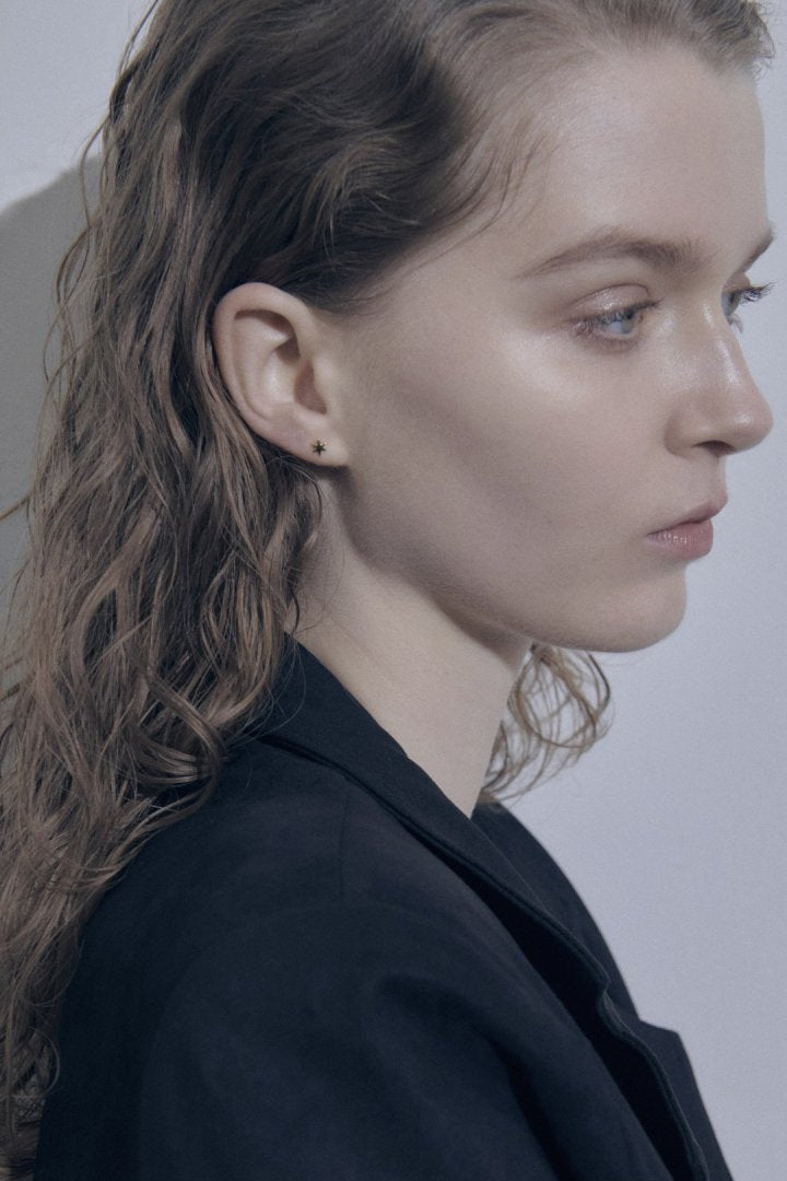 プチ アスタリスク ステンレス ピアス