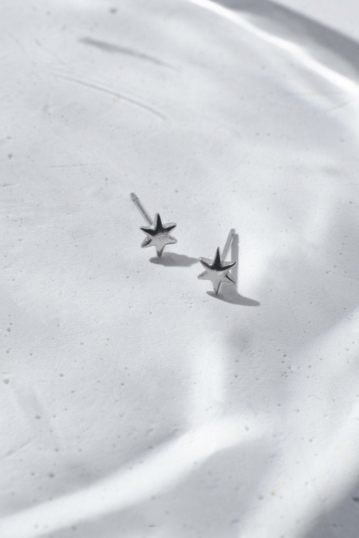 プチ アスタリスク ステンレス ピアス