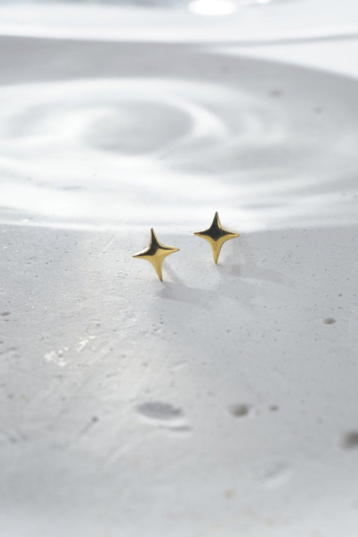 プチ トゥインクル ステンレス ピアス