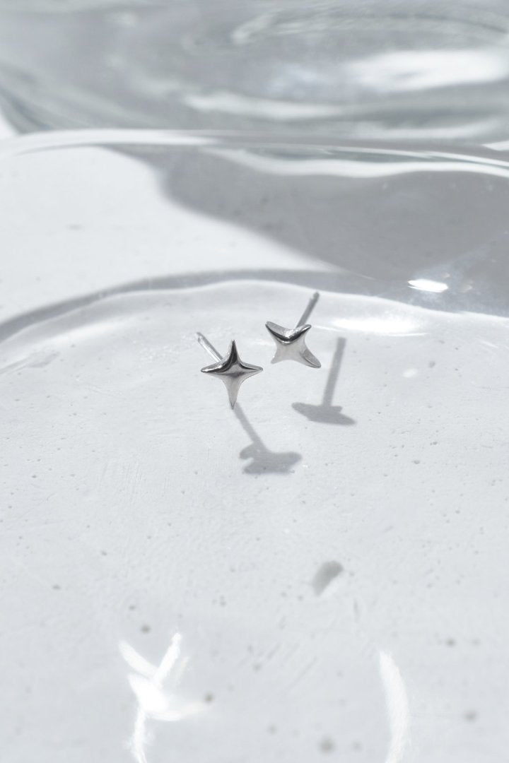 プチ トゥインクル ステンレス ピアス