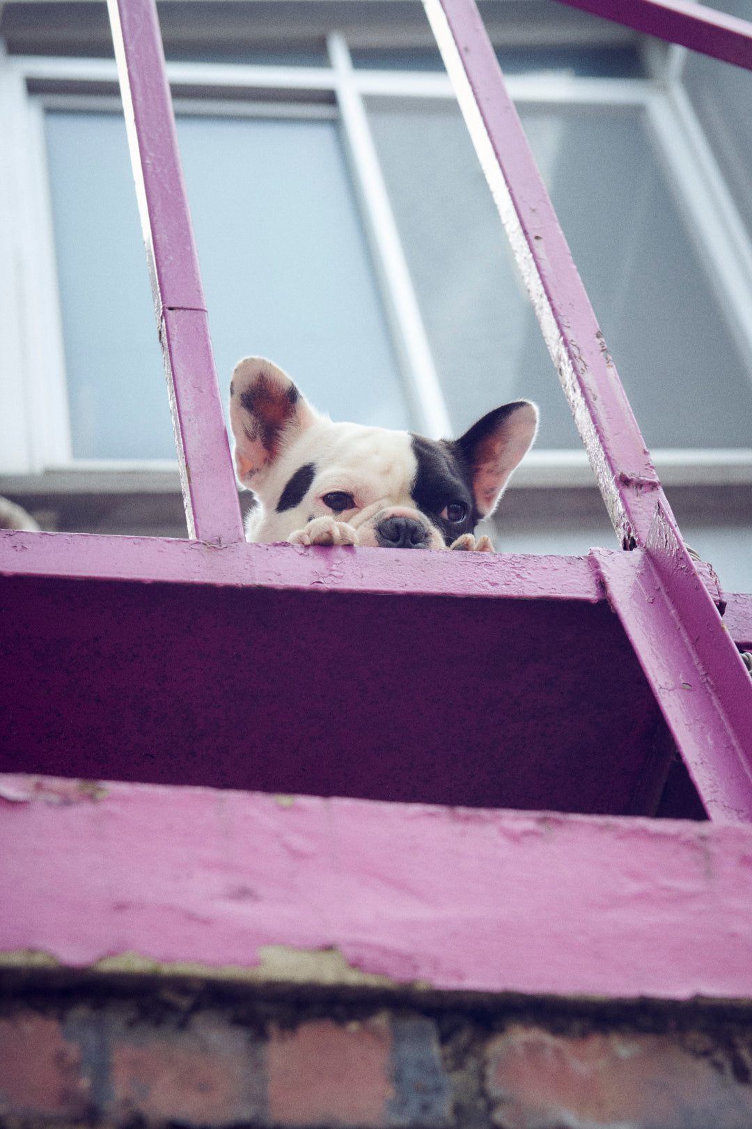 ドローストリング シアー シュシュ "2"【KOREA SNAP】