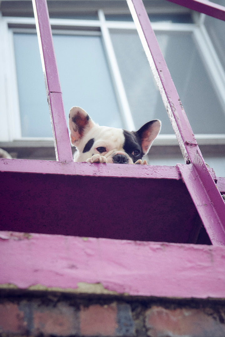 ドローストリング シアー シュシュ "2"【KOREA SNAP】