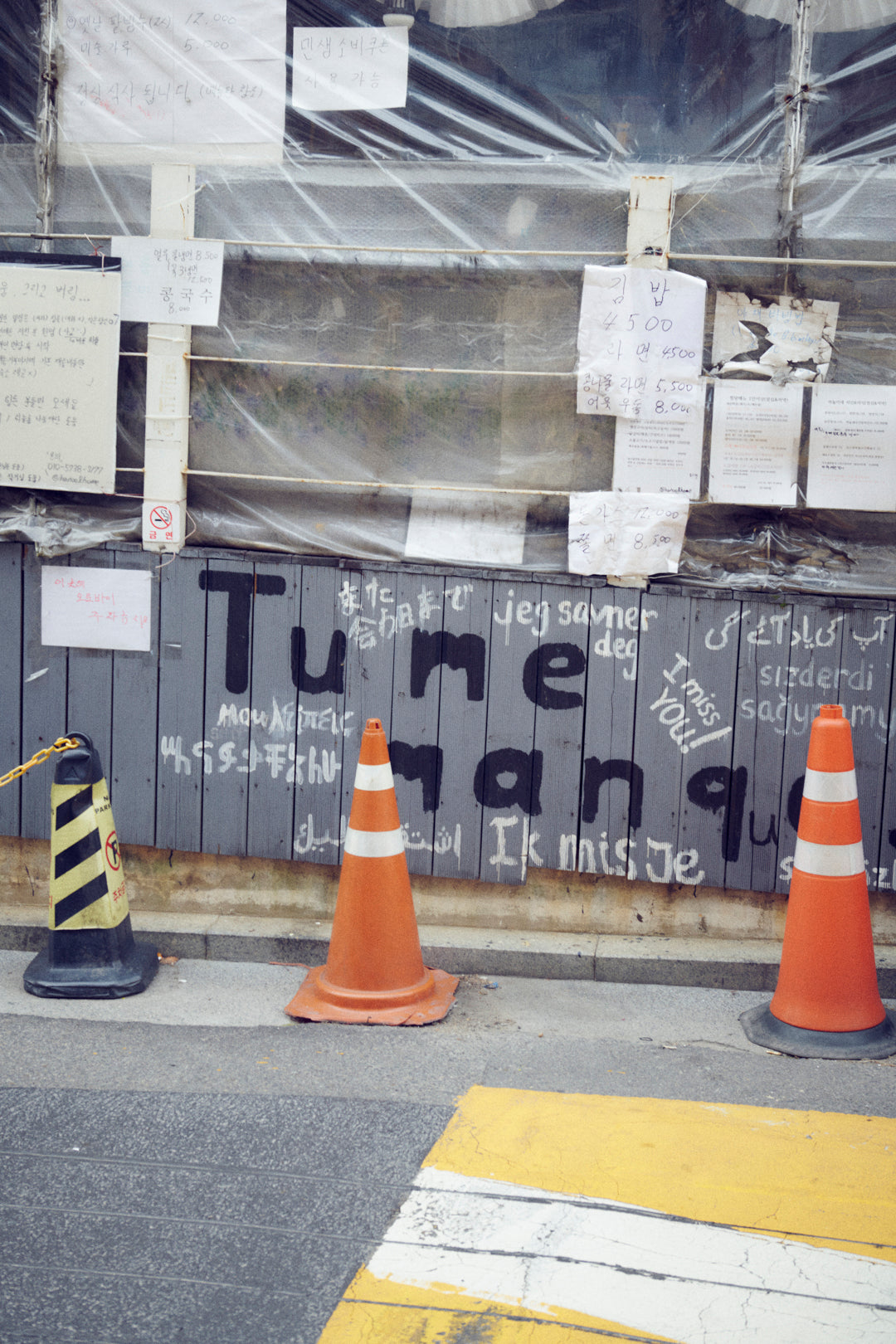 ソフィア スター ID プレート ネックレス【KOREA SNAP】