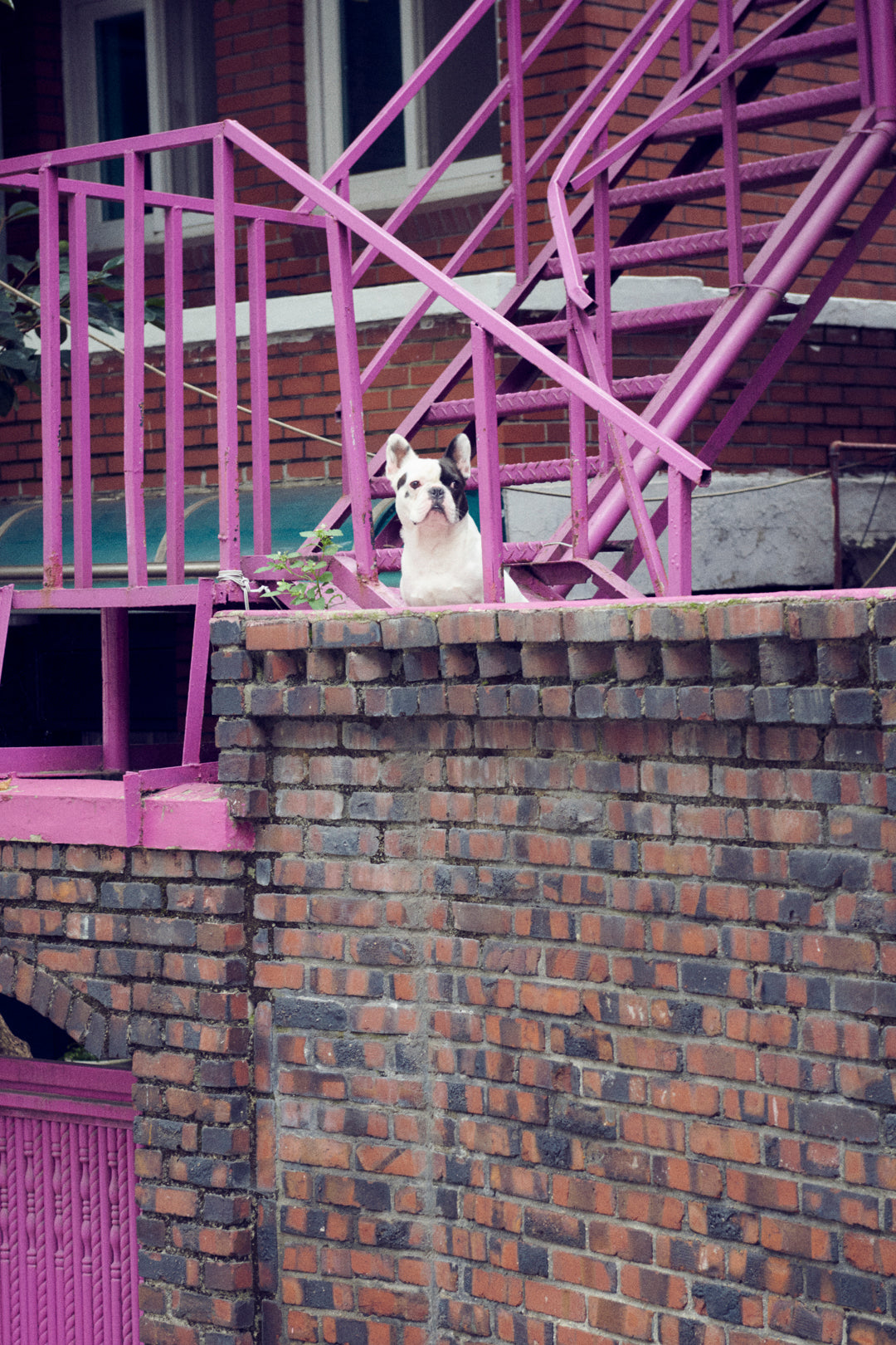 ビッグ バブル メタル ネックレス【KOREA SNAP】