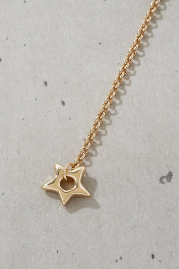 アッセンブル スター チャーム ネックレス – GOLDY Onlinestore