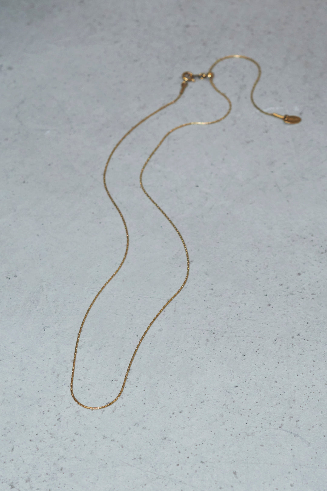 スキニー チェーン スライド ステンレス ネックレス