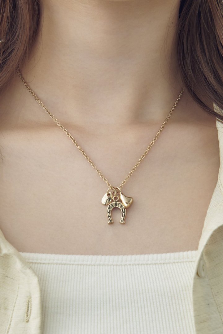 ヴィンテージ ホースシュー ネックレス – GOLDY Onlinestore