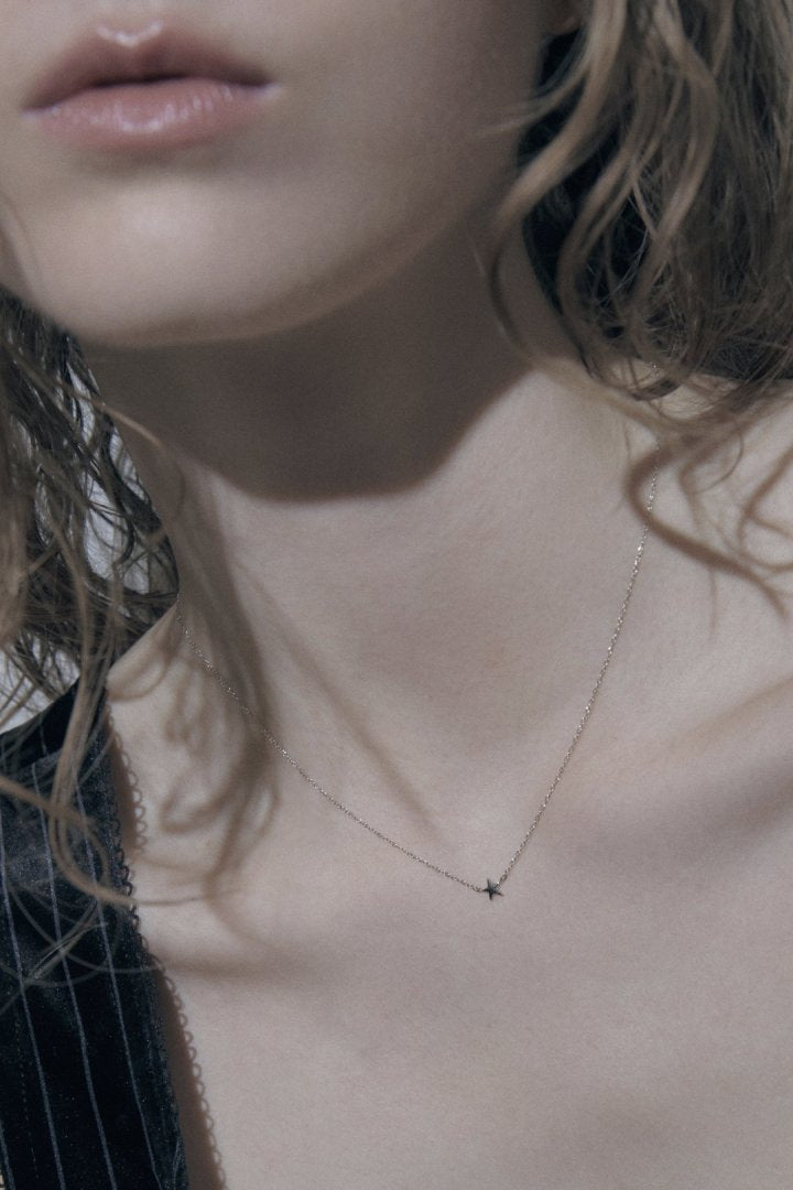 プチ スター ステンレス ネックレス