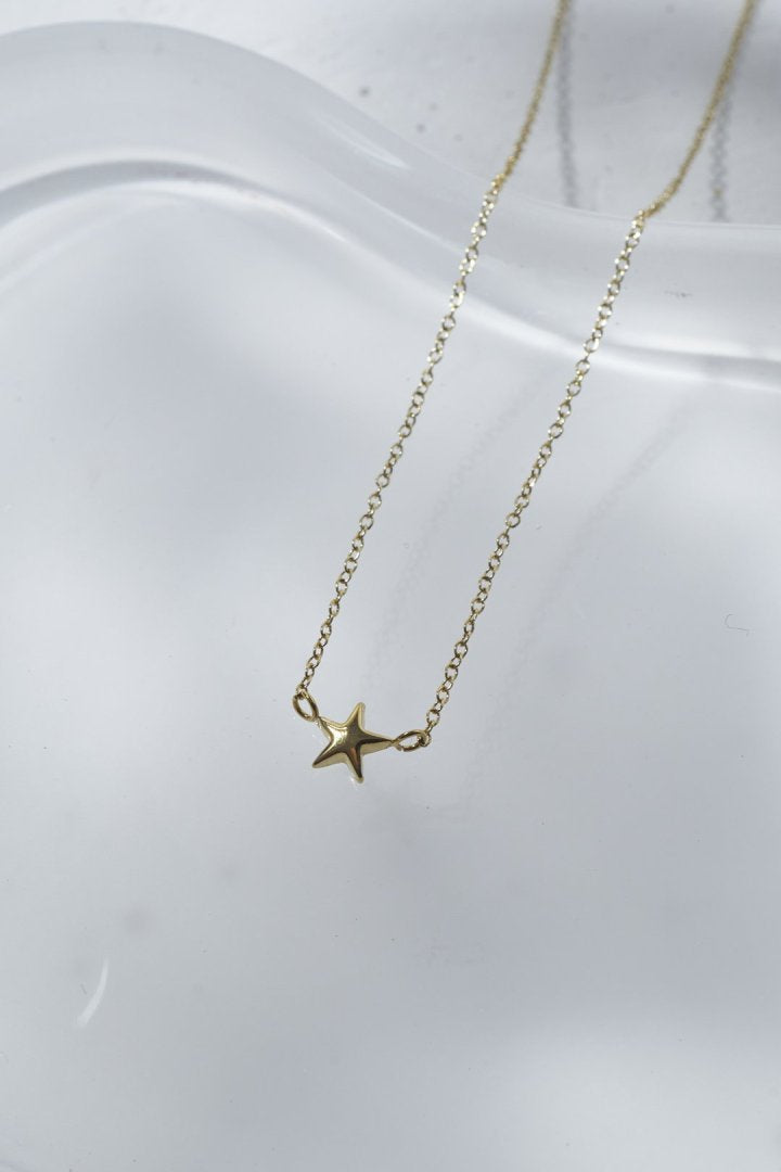 プチ スター ステンレス ネックレス