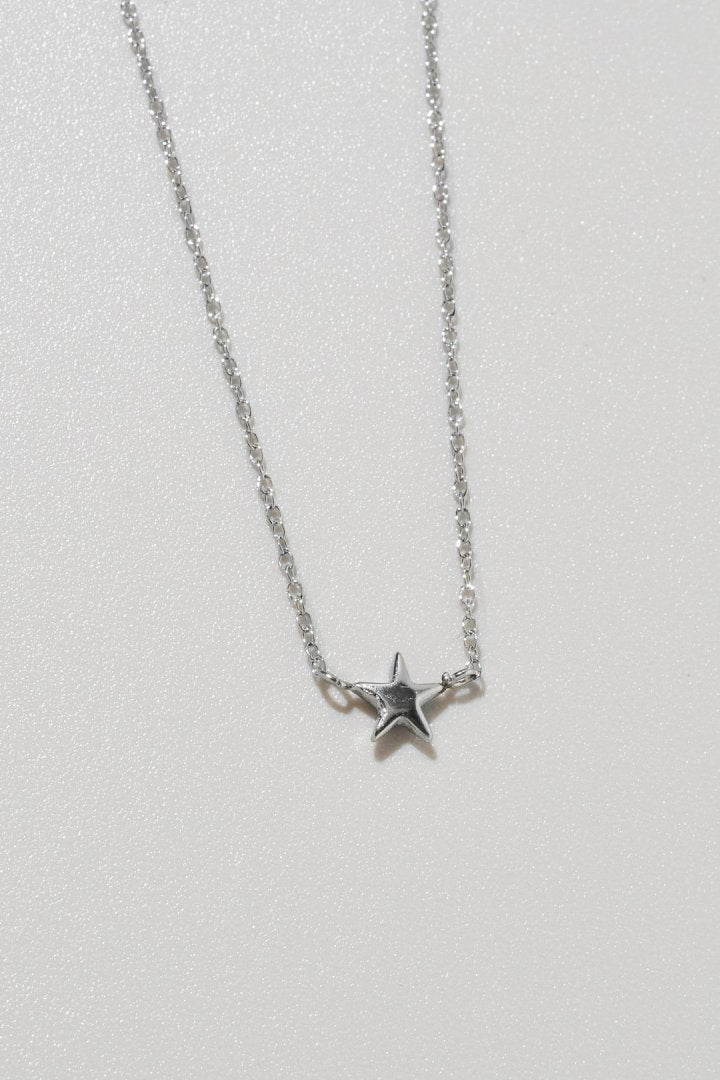 プチ スター ステンレス ネックレス