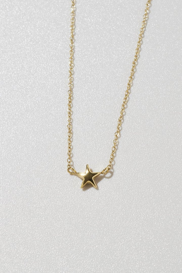 プチ スター ステンレス ネックレス