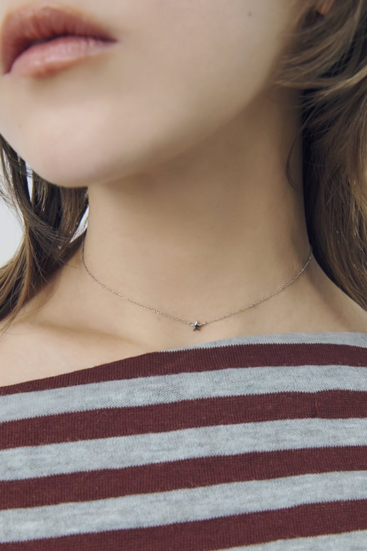 プチ スター ステンレス ネックレス