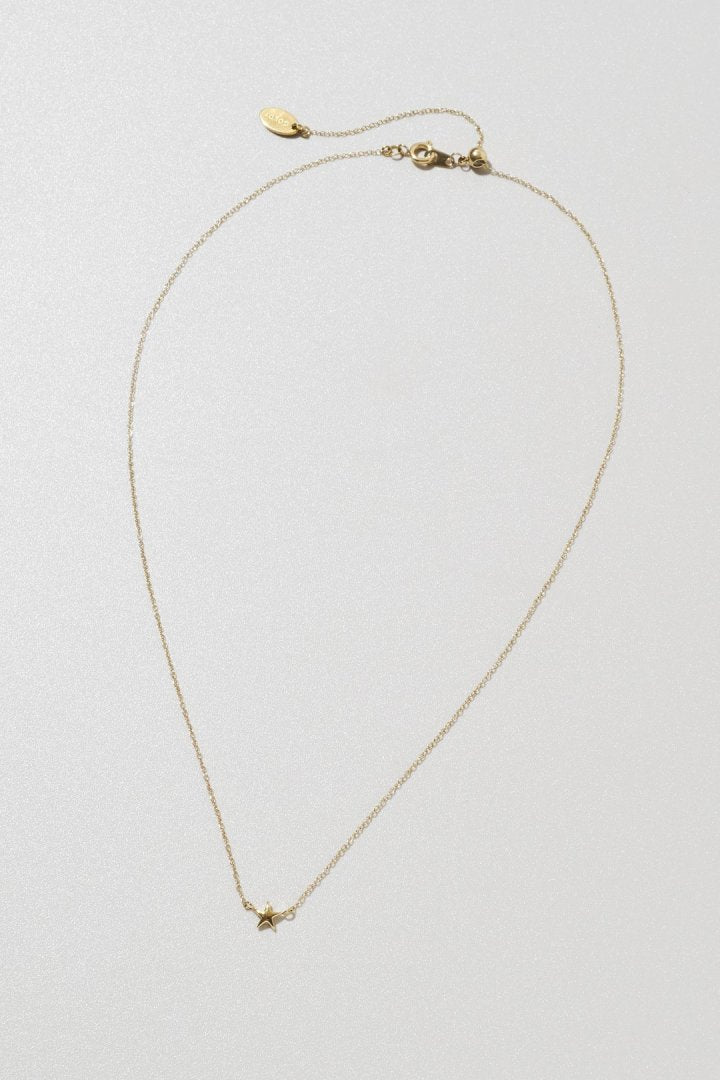 プチ スター ステンレス ネックレス