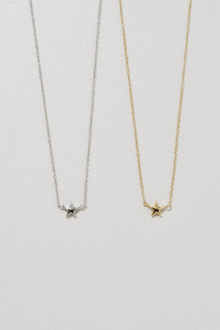プチ スター ステンレス ネックレス