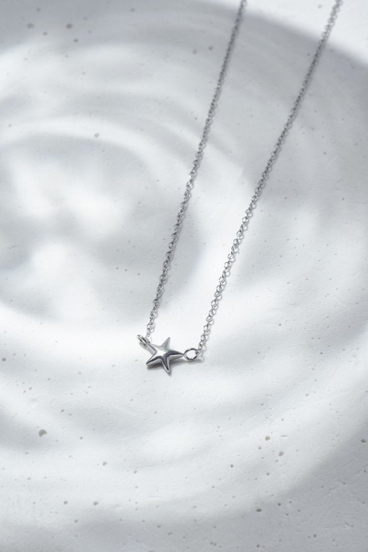 プチ スター ステンレス ネックレス