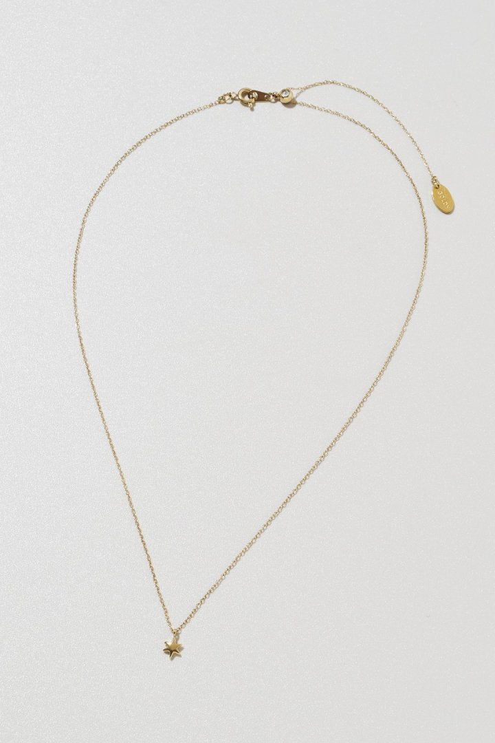 プチ アスタリスク ステンレス ネックレス
