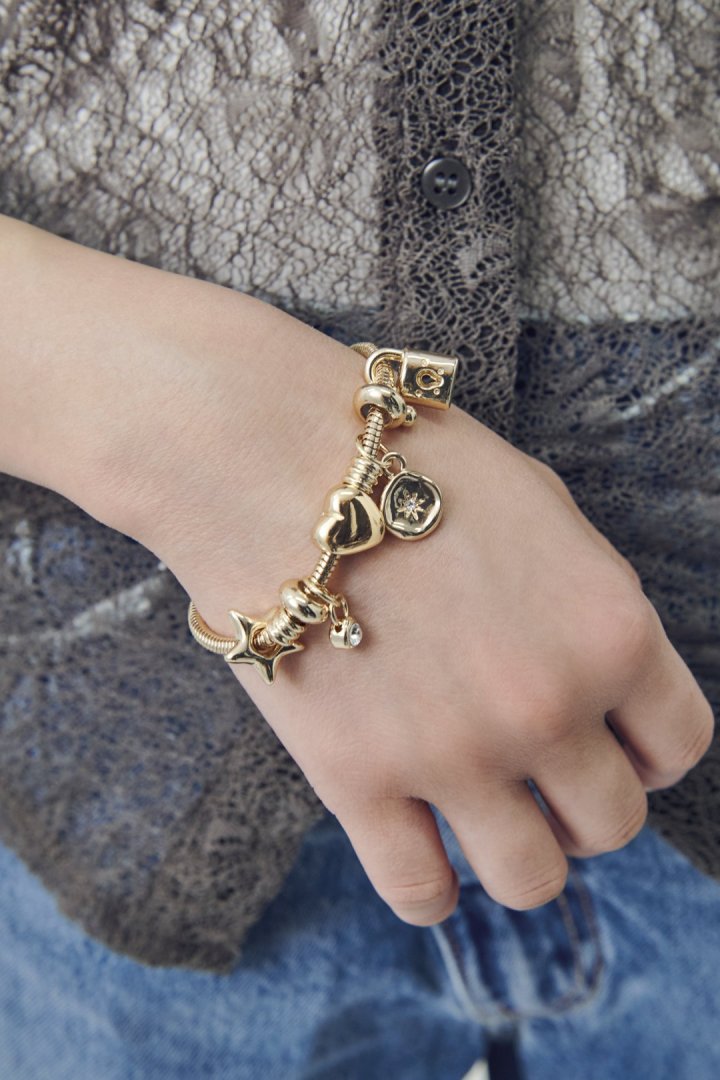 ミックス モチーフ スネーク チェーン ブレスレット – GOLDY Onlinestore