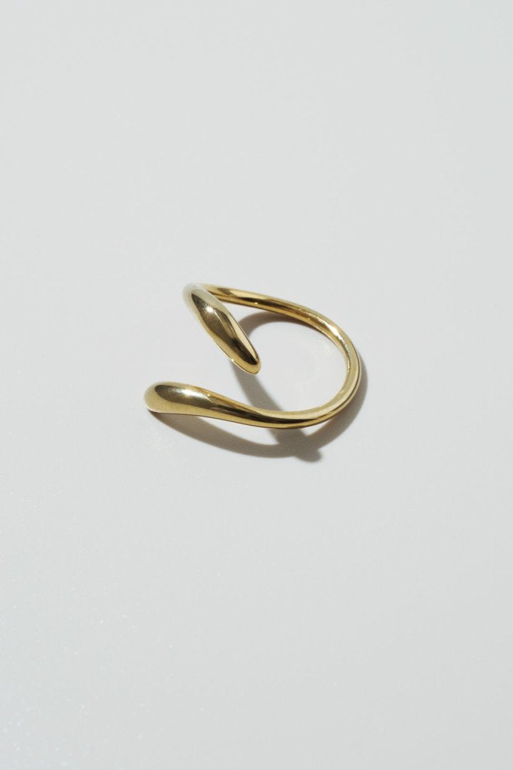 フロー ライン ステンレス リング